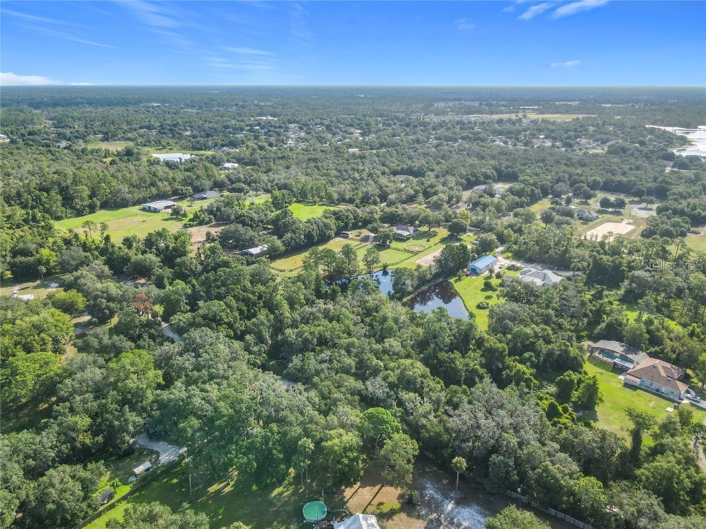 13 Bobcat Lane Osteen FL 32764 TB8414877 image17