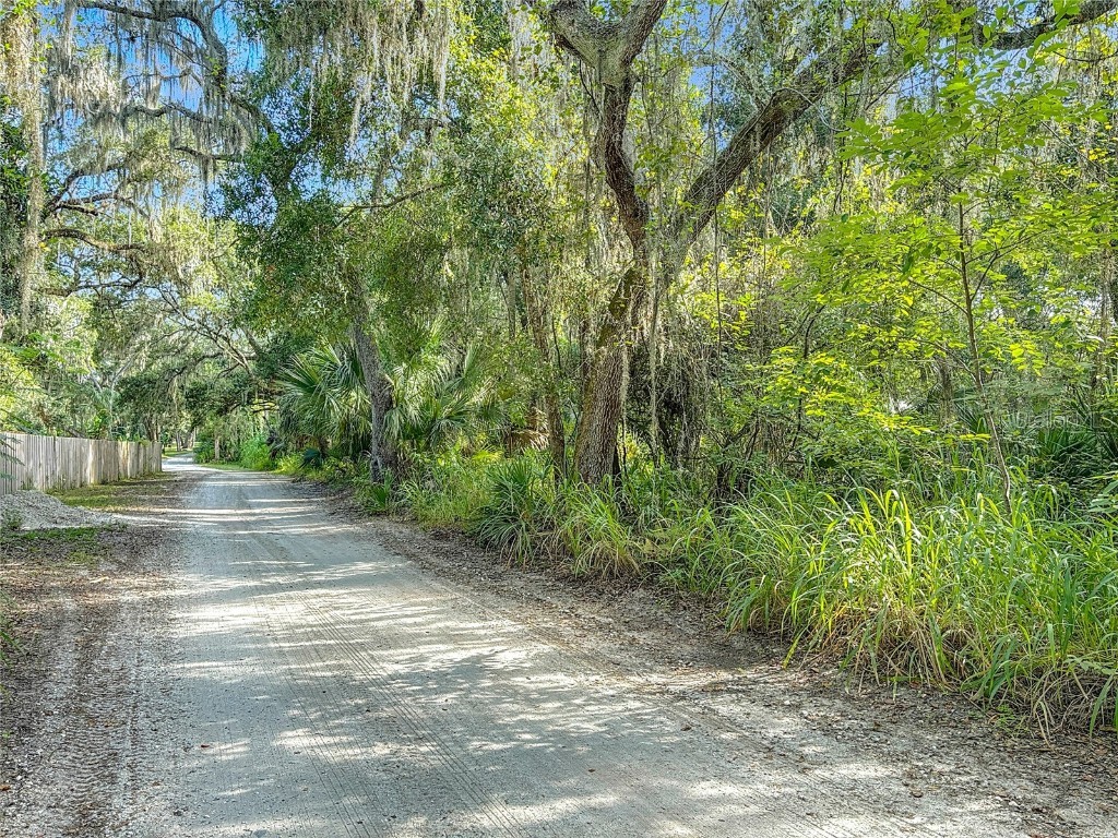 13 Bobcat Lane Osteen FL 32764 TB8414877 image19