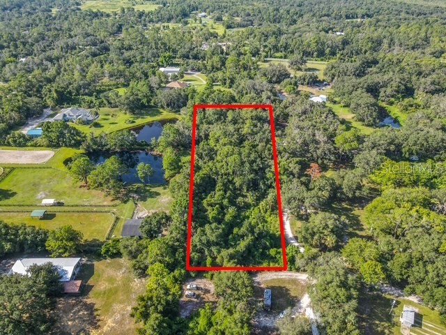 13 Bobcat Lane Osteen FL 32764 TB8414877 image2