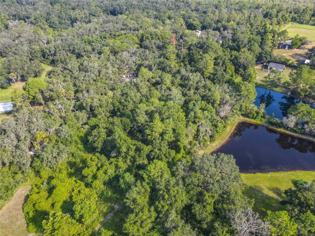 13 Bobcat Lane Osteen FL 32764 TB8414877 image21