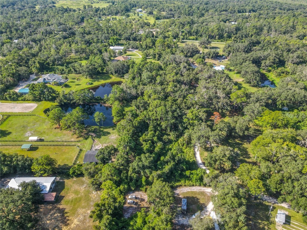 13 Bobcat Lane Osteen FL 32764 TB8414877 image23