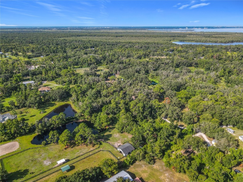 13 Bobcat Lane Osteen FL 32764 TB8414877 image25