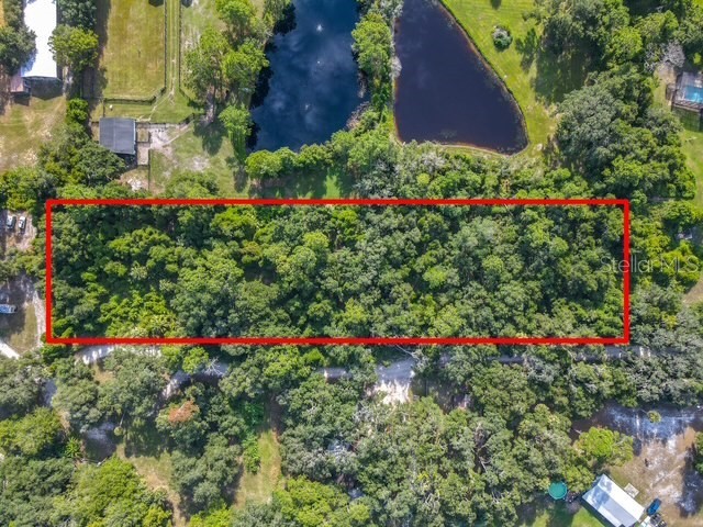 13 Bobcat Lane Osteen FL 32764 TB8414877 image3