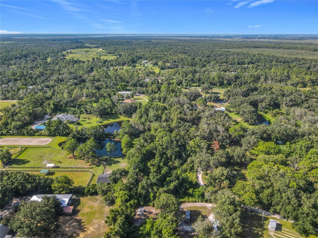 13 Bobcat Lane Osteen FL 32764 TB8414877 image5