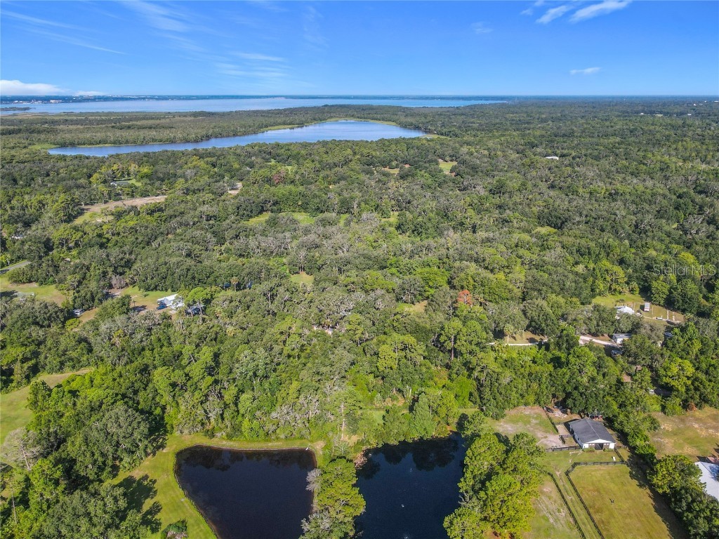 13 Bobcat Lane Osteen FL 32764 TB8414877 image8