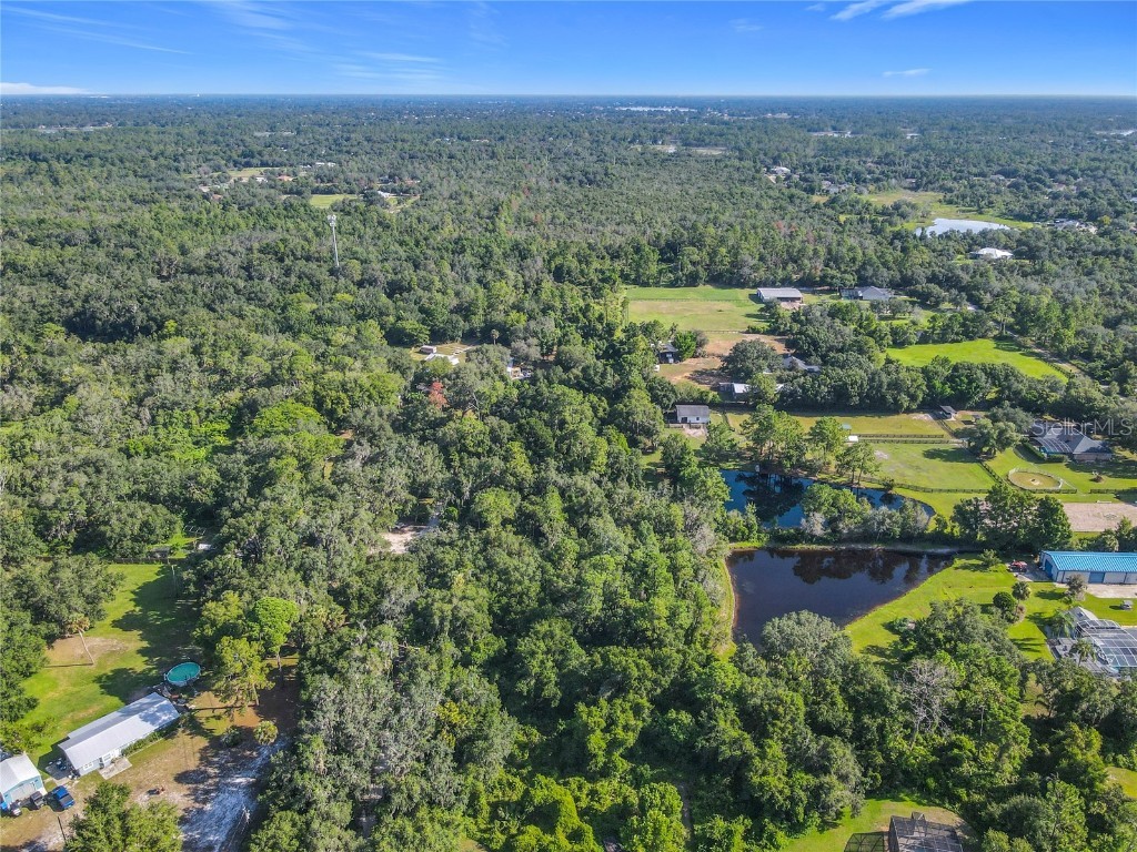 13 Bobcat Lane Osteen FL 32764 TB8414877 image9