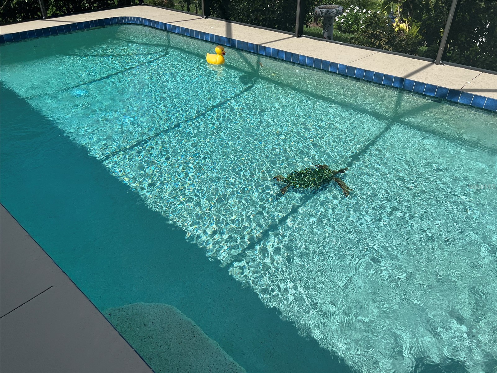 13 Broadmoor Lane Rotonda West FL 33947 D6148056 image31