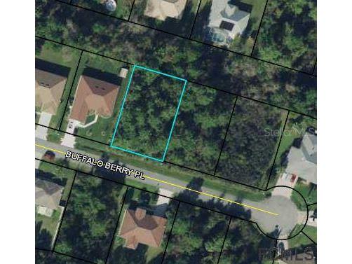 13 Buffalo Berry Place Palm Coast FL 32137 FC276384 image2