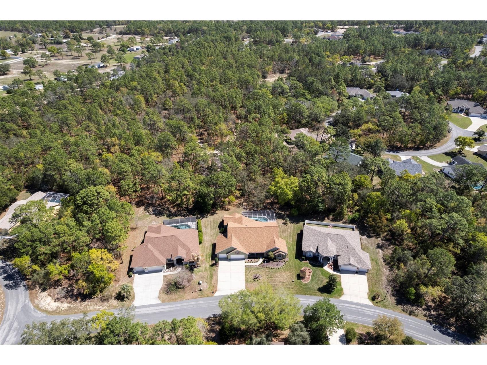 13 Cupania Court Homosassa FL 34446 OM720970 image2