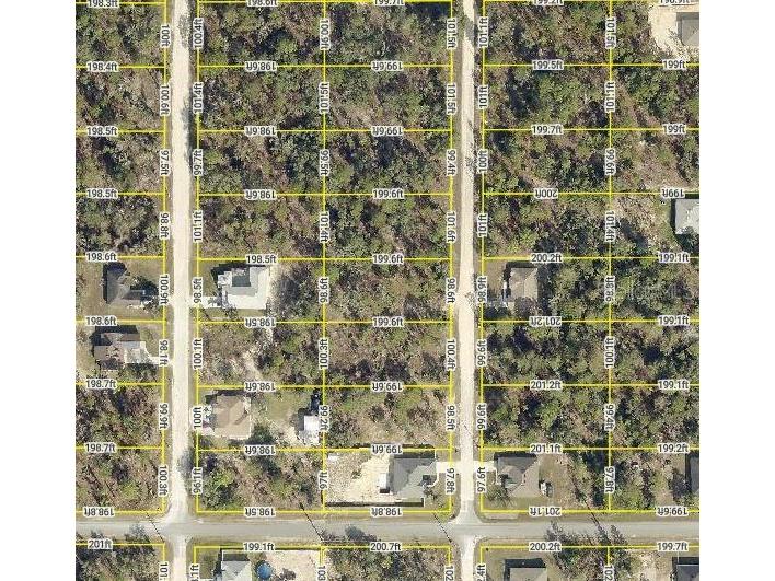 13 English Parrot Brooksville FL 34614 W7872787 image1