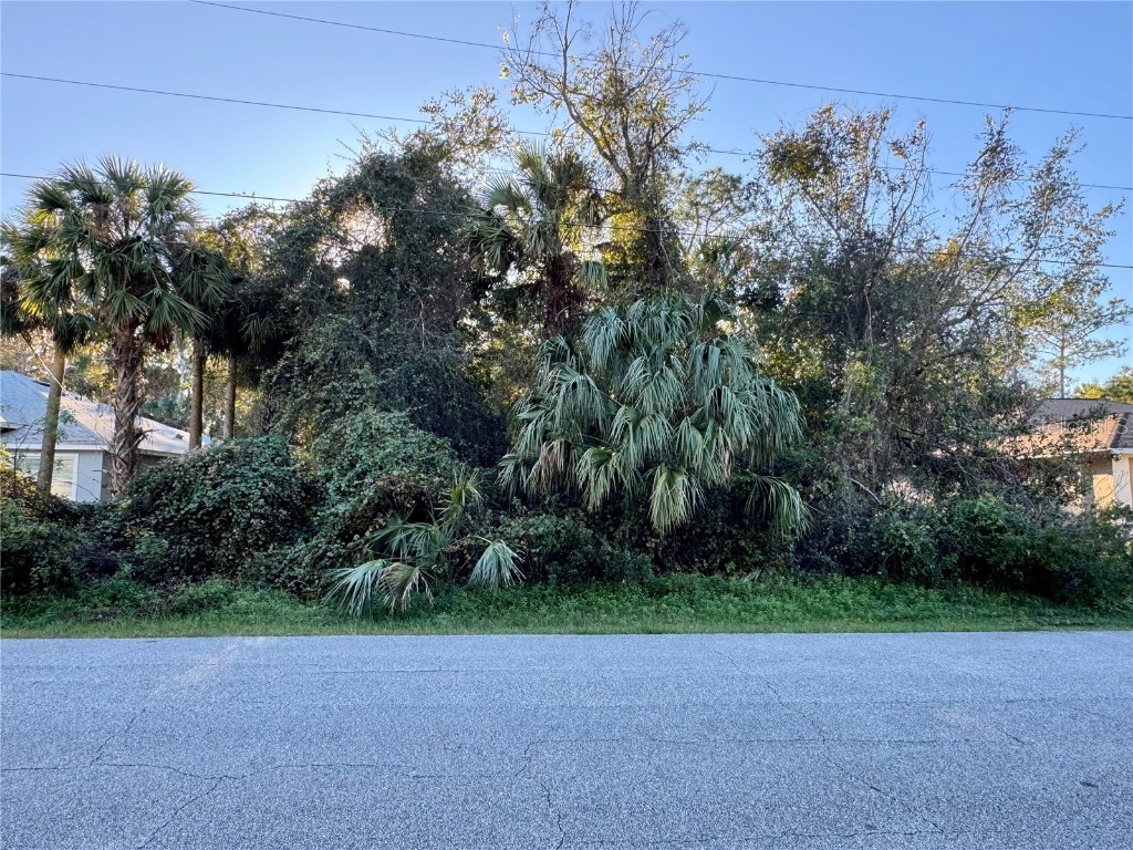 13 Fanshawe Lane Palm Coast FL 32137 FC305484 image1