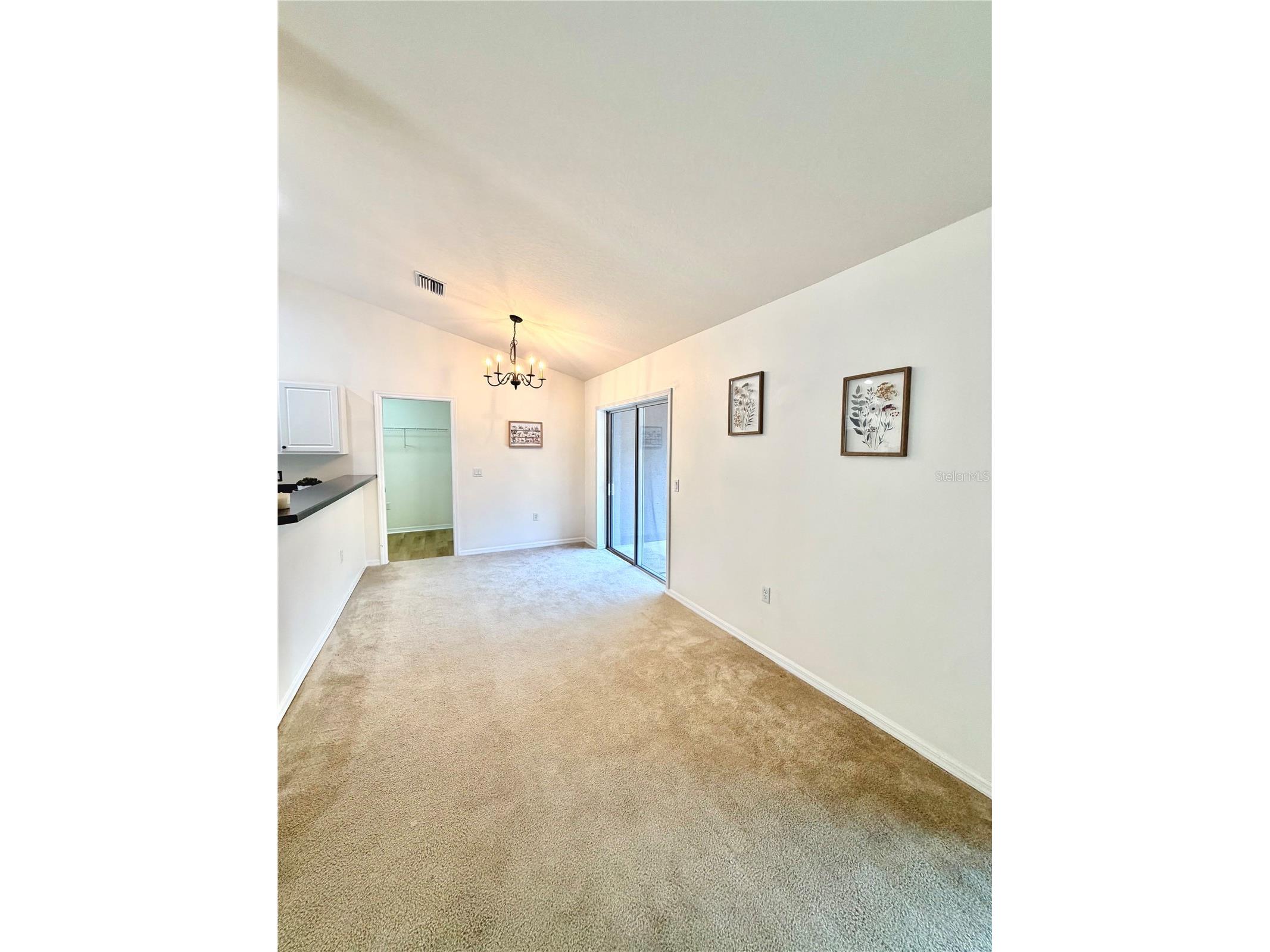 13 Fisher Trail Terrace Ocklawaha FL 32179 R4911639 image7