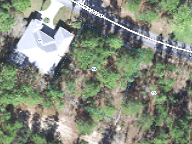 13 Fringetree Street #22 Homosassa FL 34446 OM686523 image1