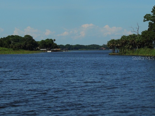 13 Hamilton Lane Palm Harbor FL 34684 TB8489373 image14