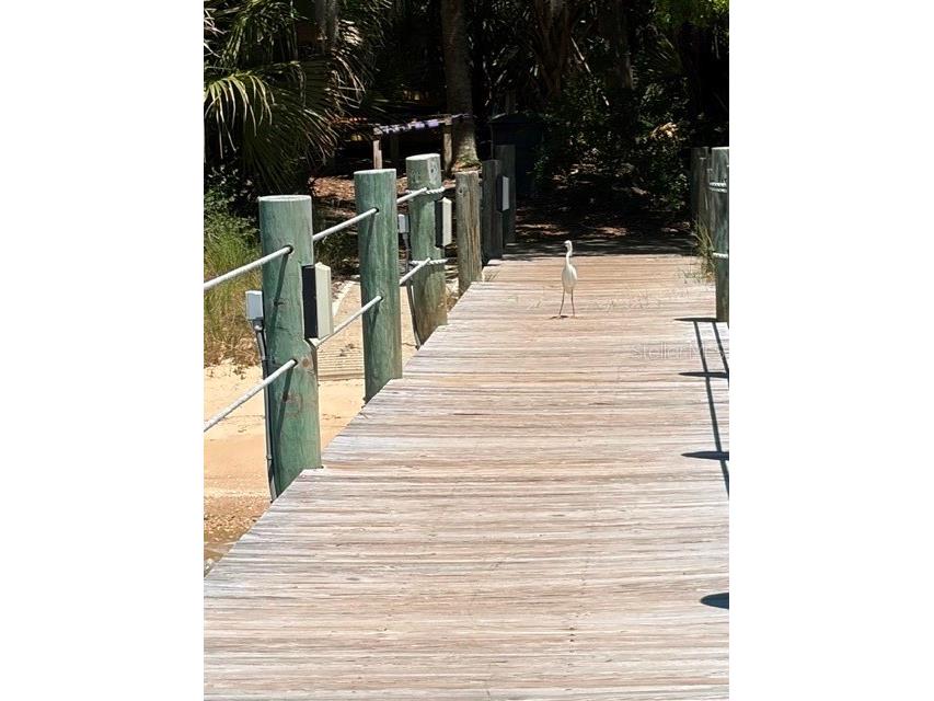 13 Las Brisas Way Palm Coast FL 32137 FC316385 image46