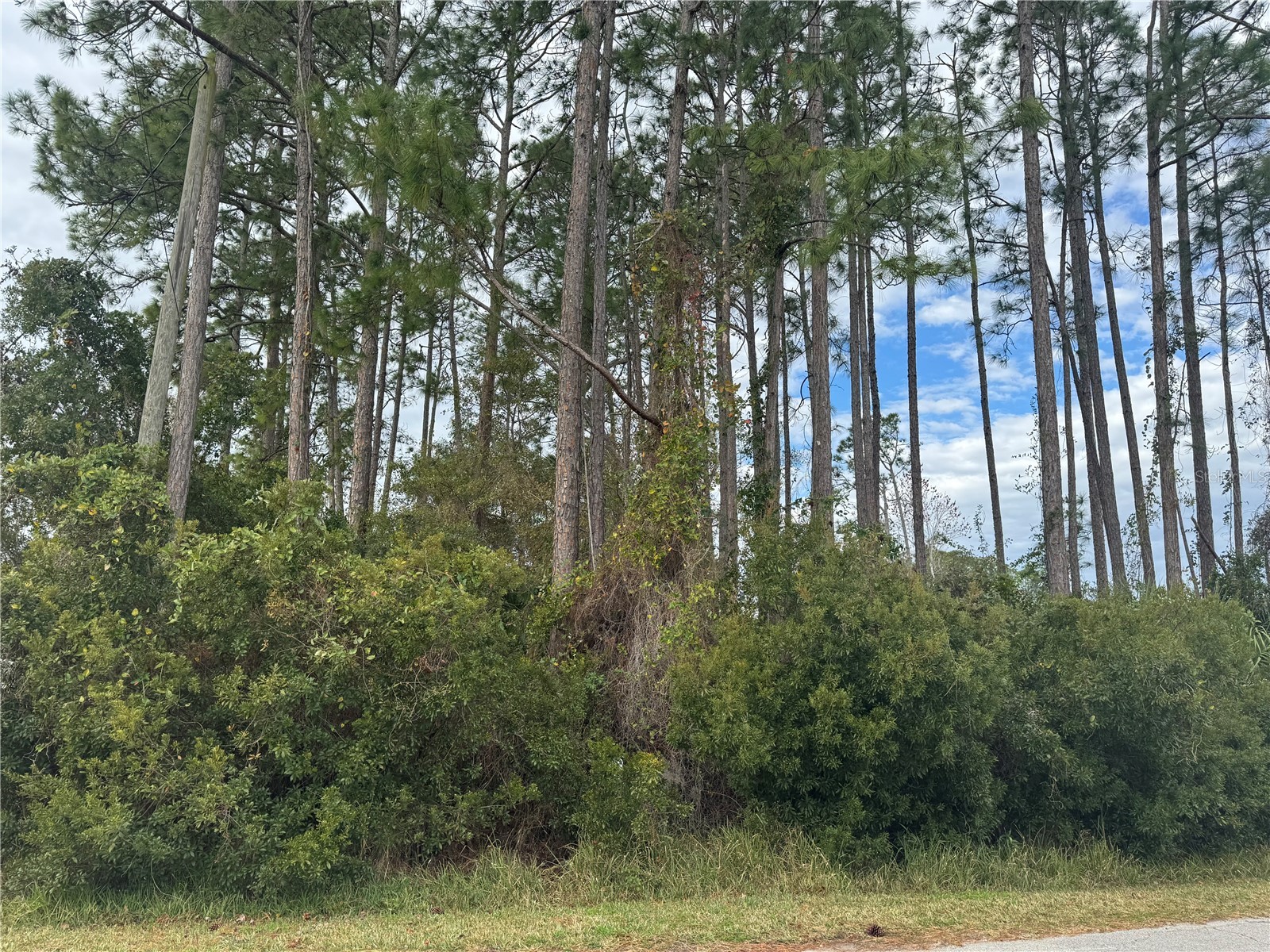 13 Lincoln Lane Palm Coast FL 32137 OM717136 image1