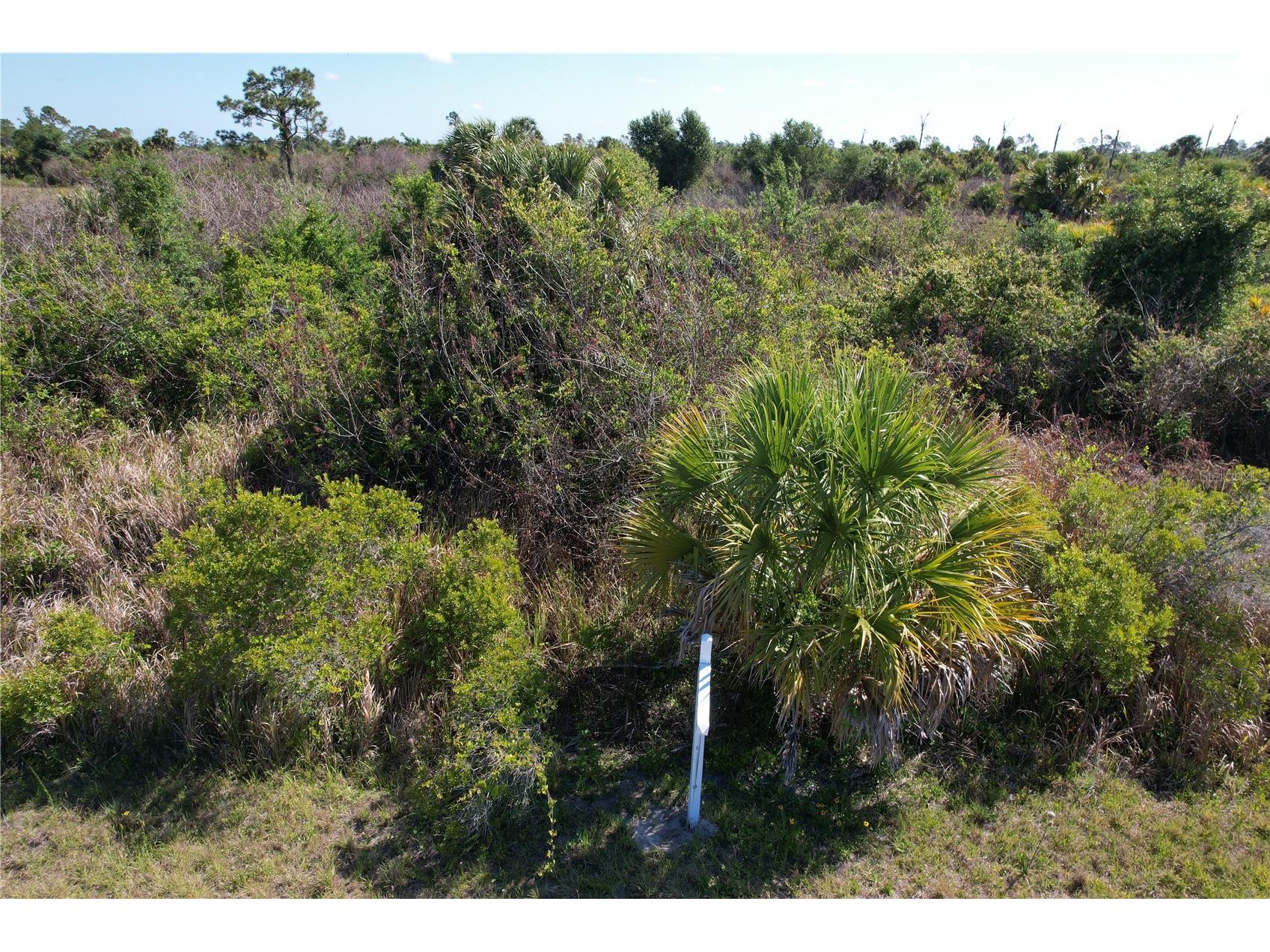 13 Magellan Street North Port FL 34288 C7525073 image3