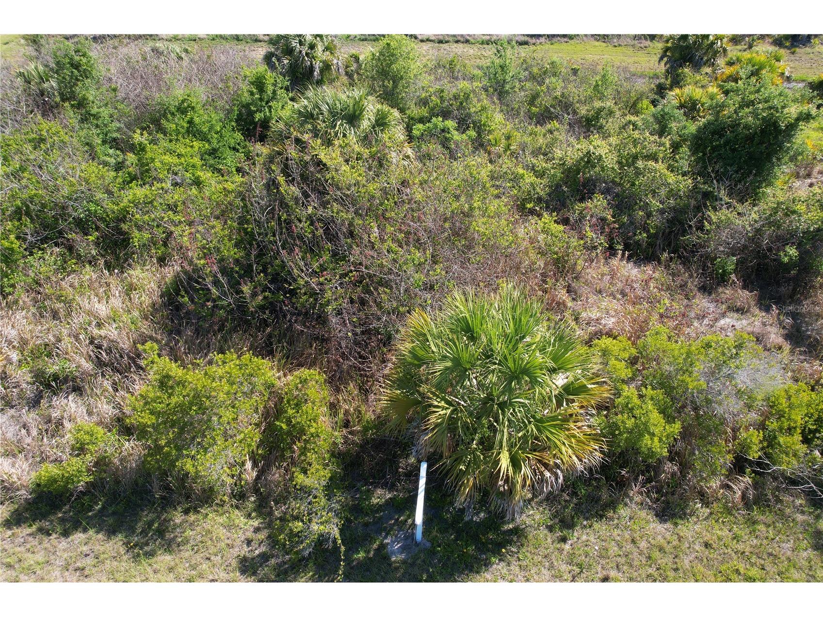 13 Magellan Street North Port FL 34288 C7525073 image5