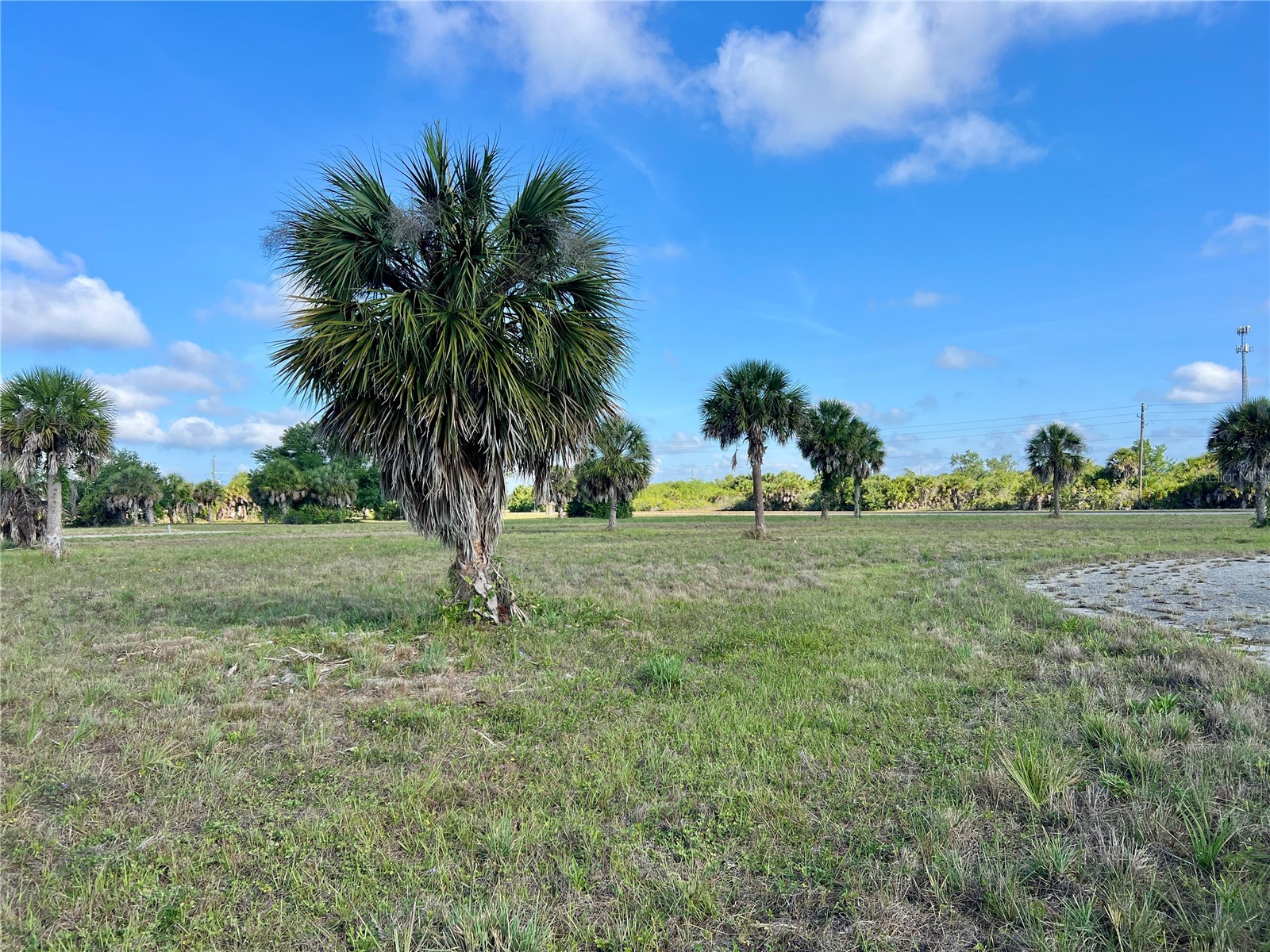 13 Mango Court Placida FL 33946 C7526108 image11