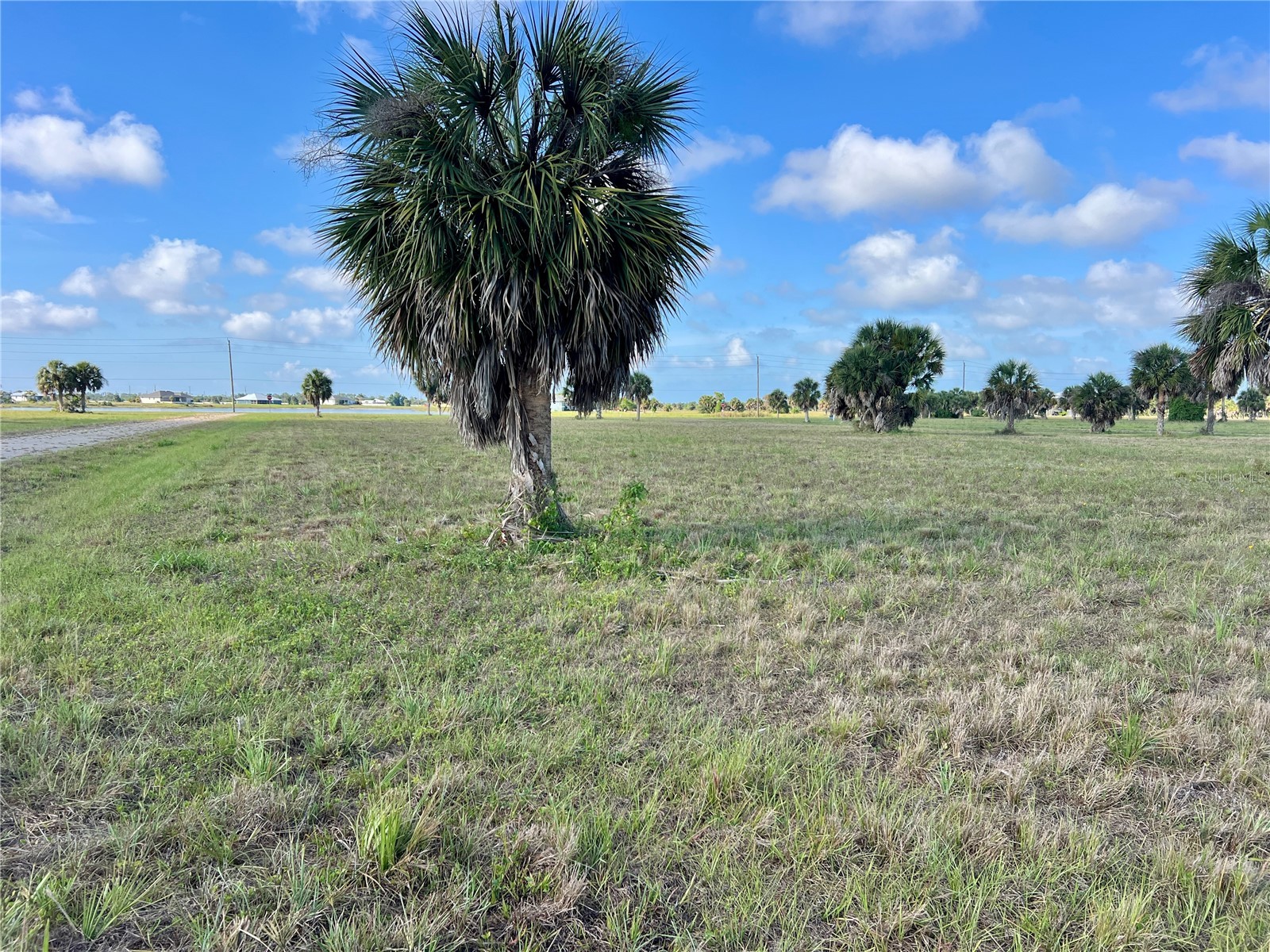 13 Mango Court Placida FL 33946 C7526108 image12