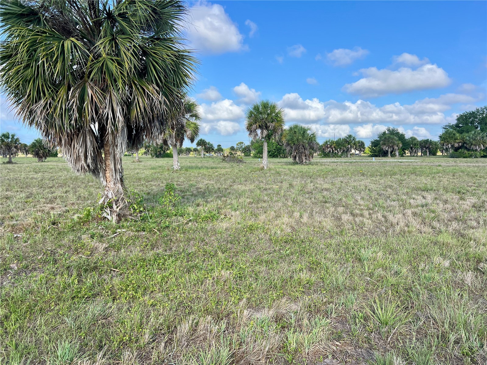 13 Mango Court Placida FL 33946 C7526108 image13