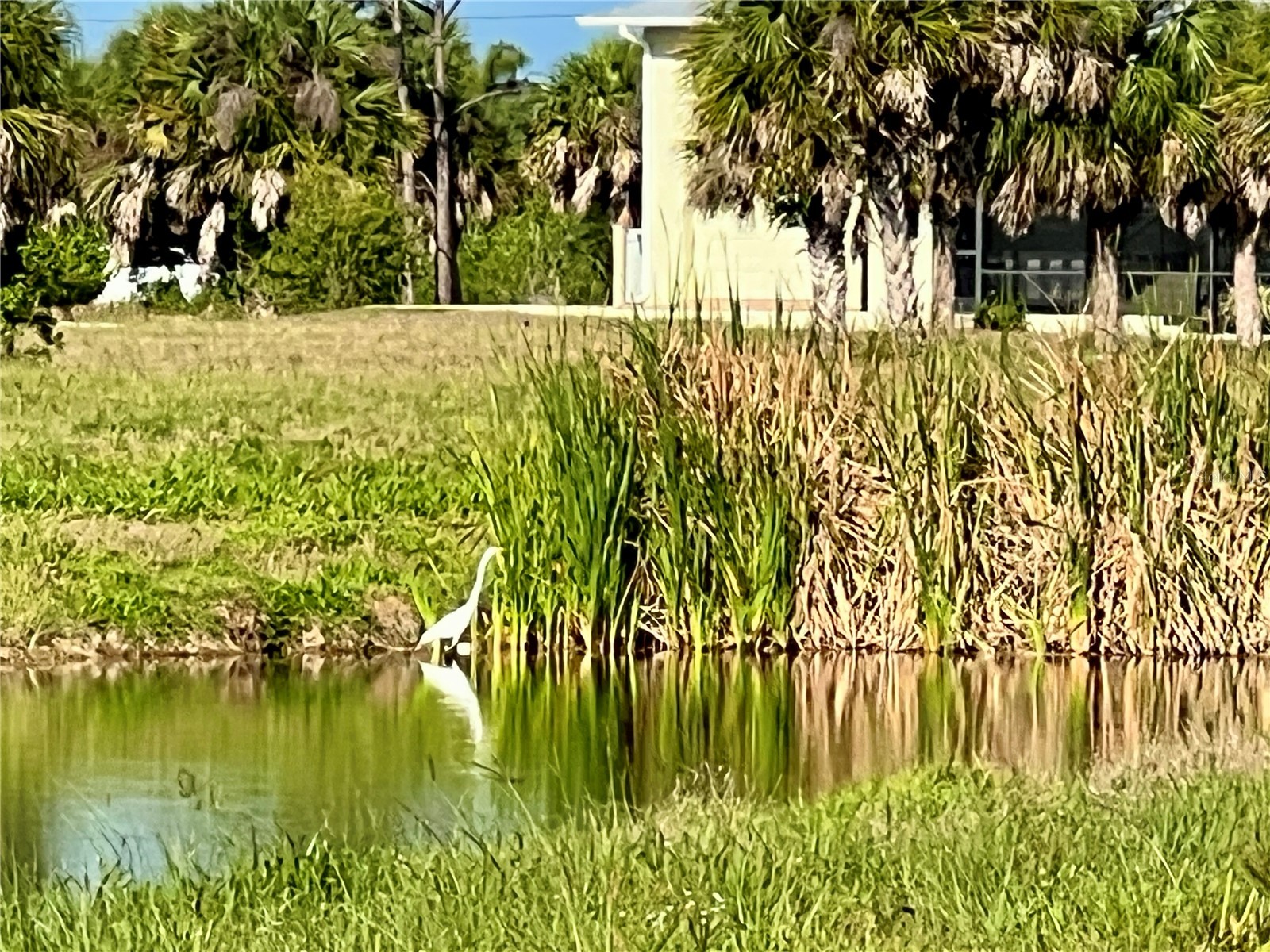13 Mango Court Placida FL 33946 C7526108 image18