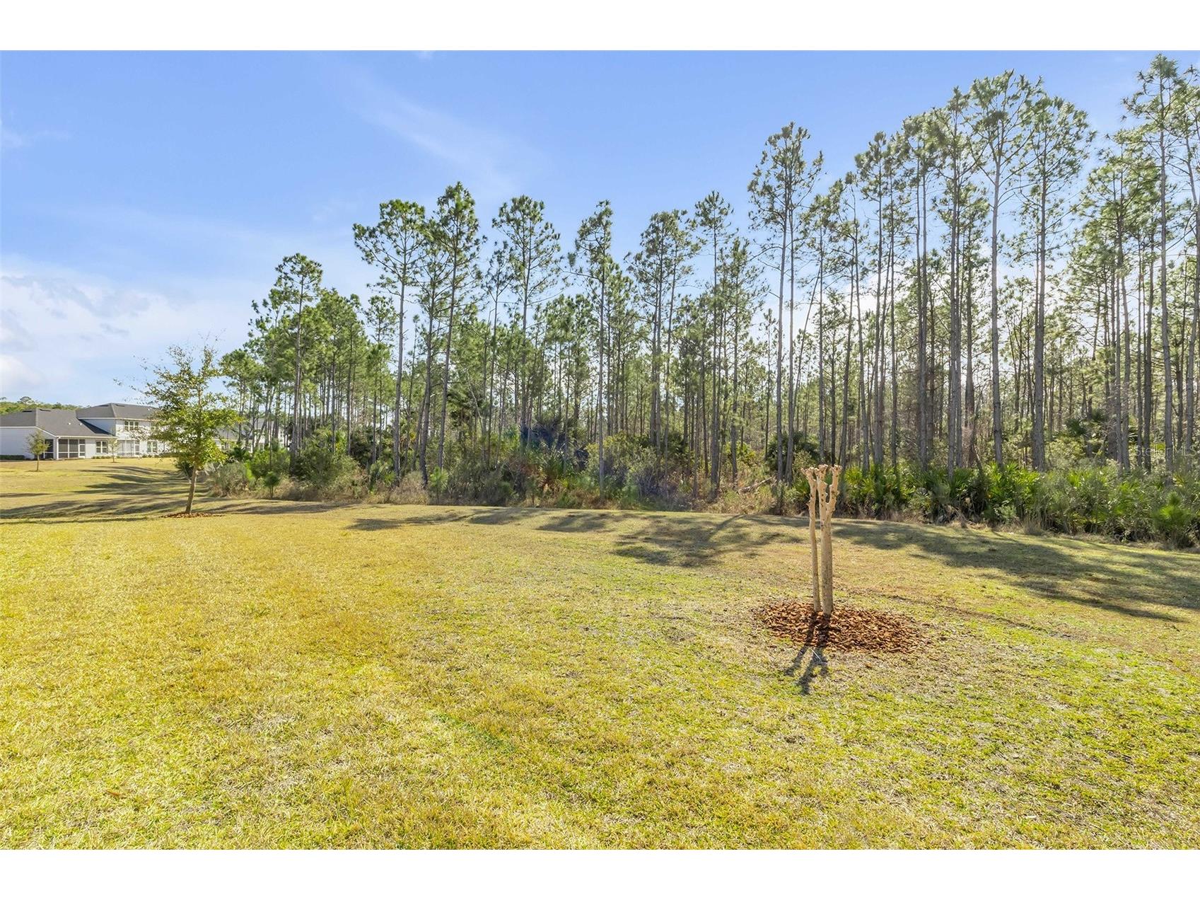 13 Newhaven Lane Ormond Beach FL 32174 NS1087545 image51