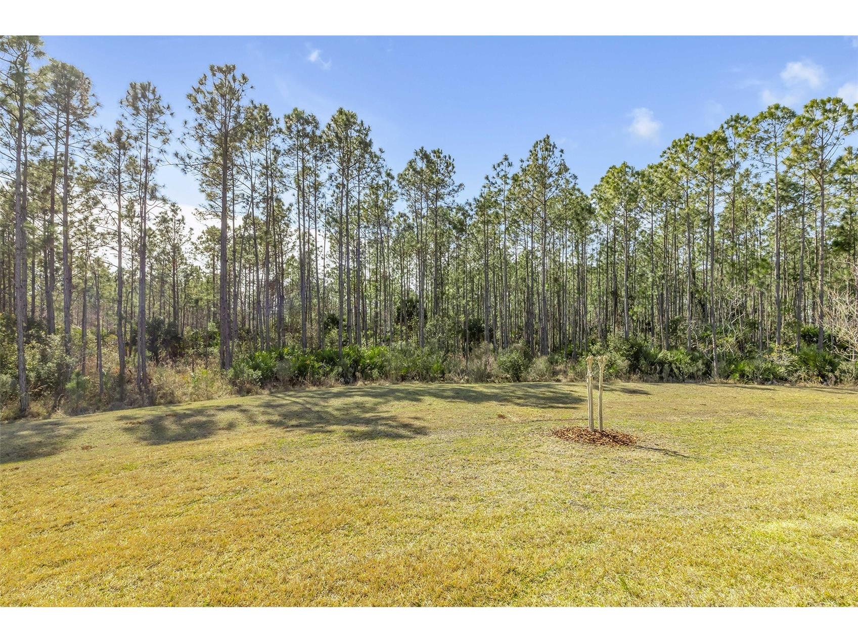 13 Newhaven Lane Ormond Beach FL 32174 NS1087545 image54