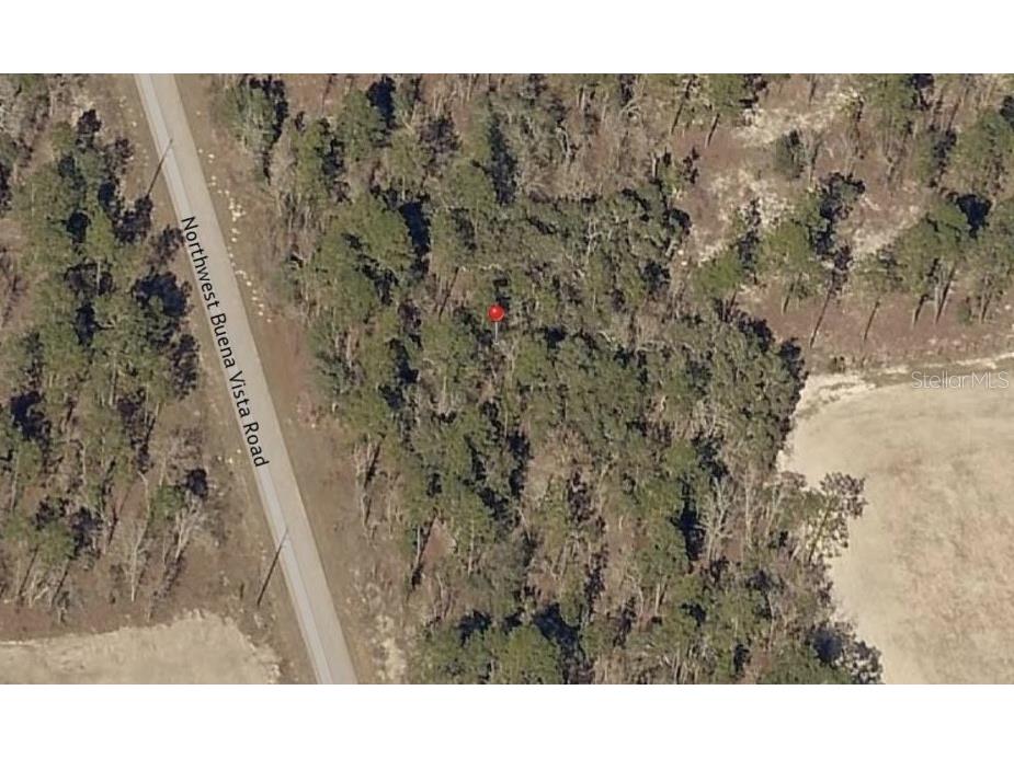 13 NW Buena Vista Road Dunnellon FL 34431 OM722705 image1