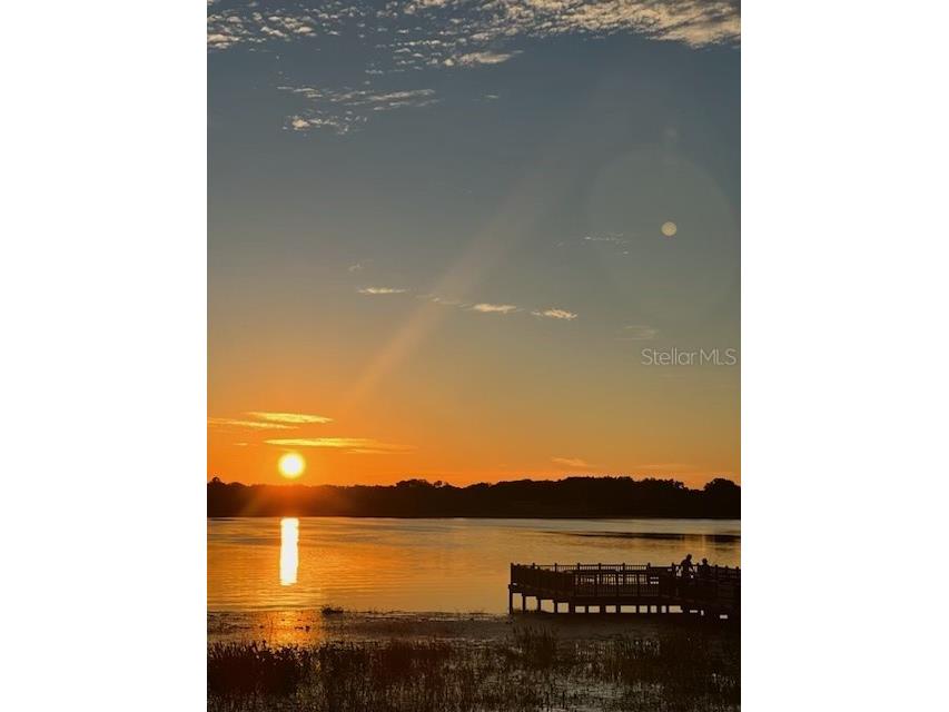 13 NW Buena Vista Road Dunnellon FL 34431 OM722705 image3