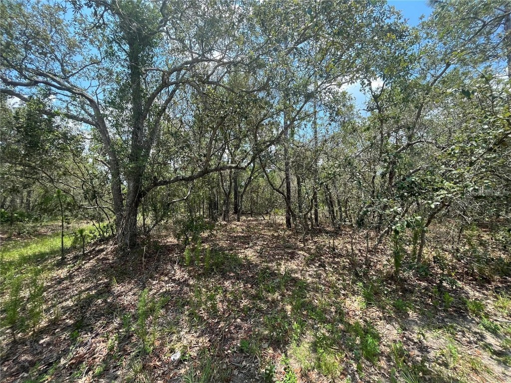 13 Pagoda Court W Homosassa FL 34446 OK224774 image1