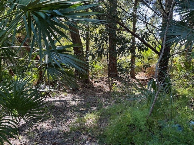 13 Paul Lane Palm Coast FL 32164 FC297554 image1