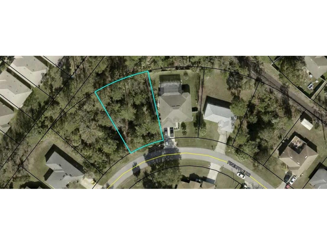 13 Pineapple Drive Palm Coast FL 32164 FC310578 image1