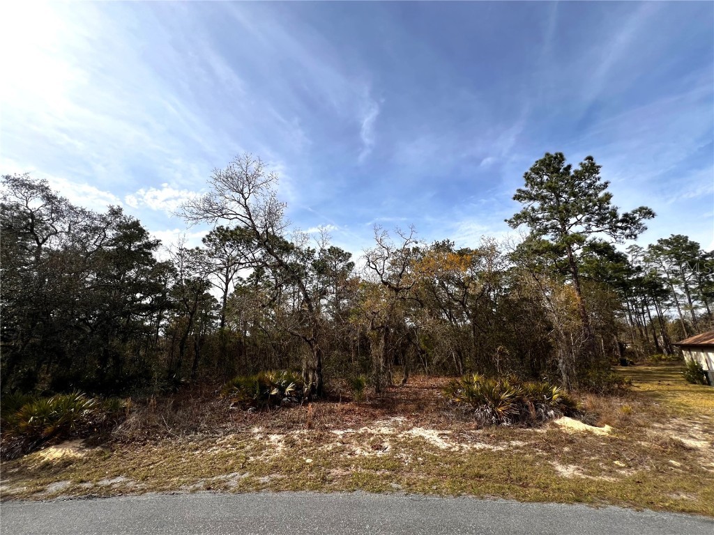 13 Primula Court W Homosassa FL 34446 S5102024 image1