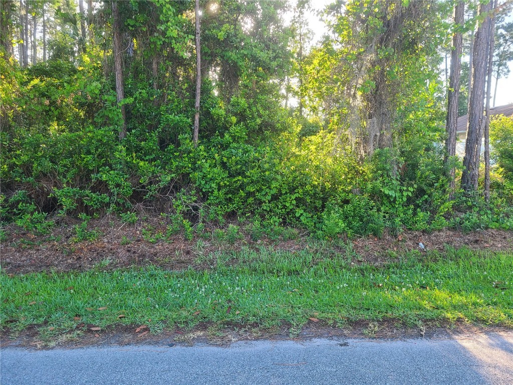 13 Red Top Lane Palm Coast FL 32164 FC289025 image1