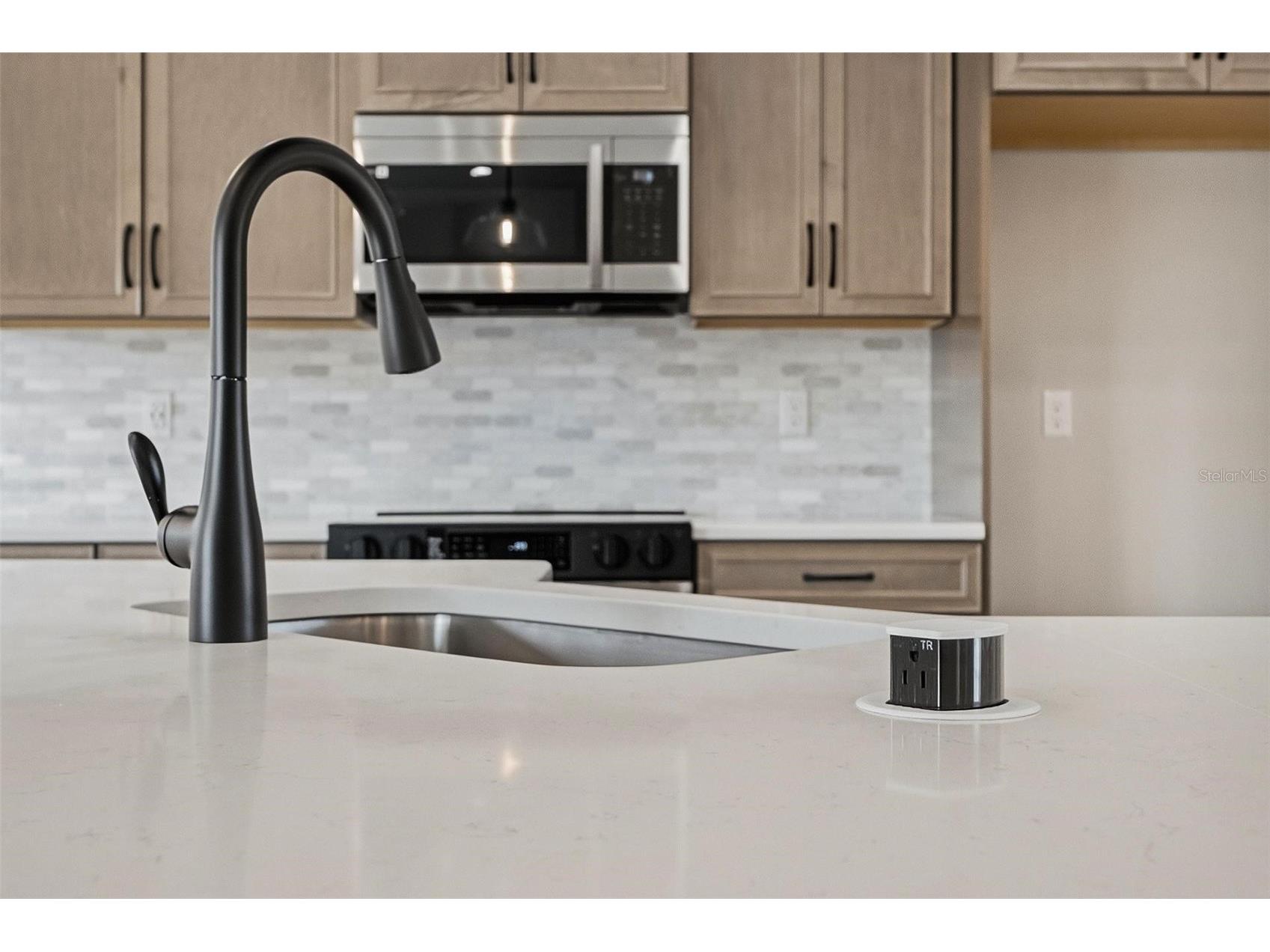 13 Reindeer Lane Palm Coast FL 32164 FC313833 image32