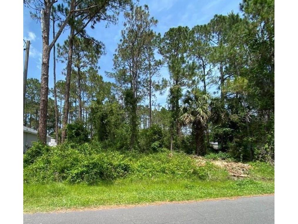 13 Renshaw Place Palm Coast FL 32164 FC292205 image1