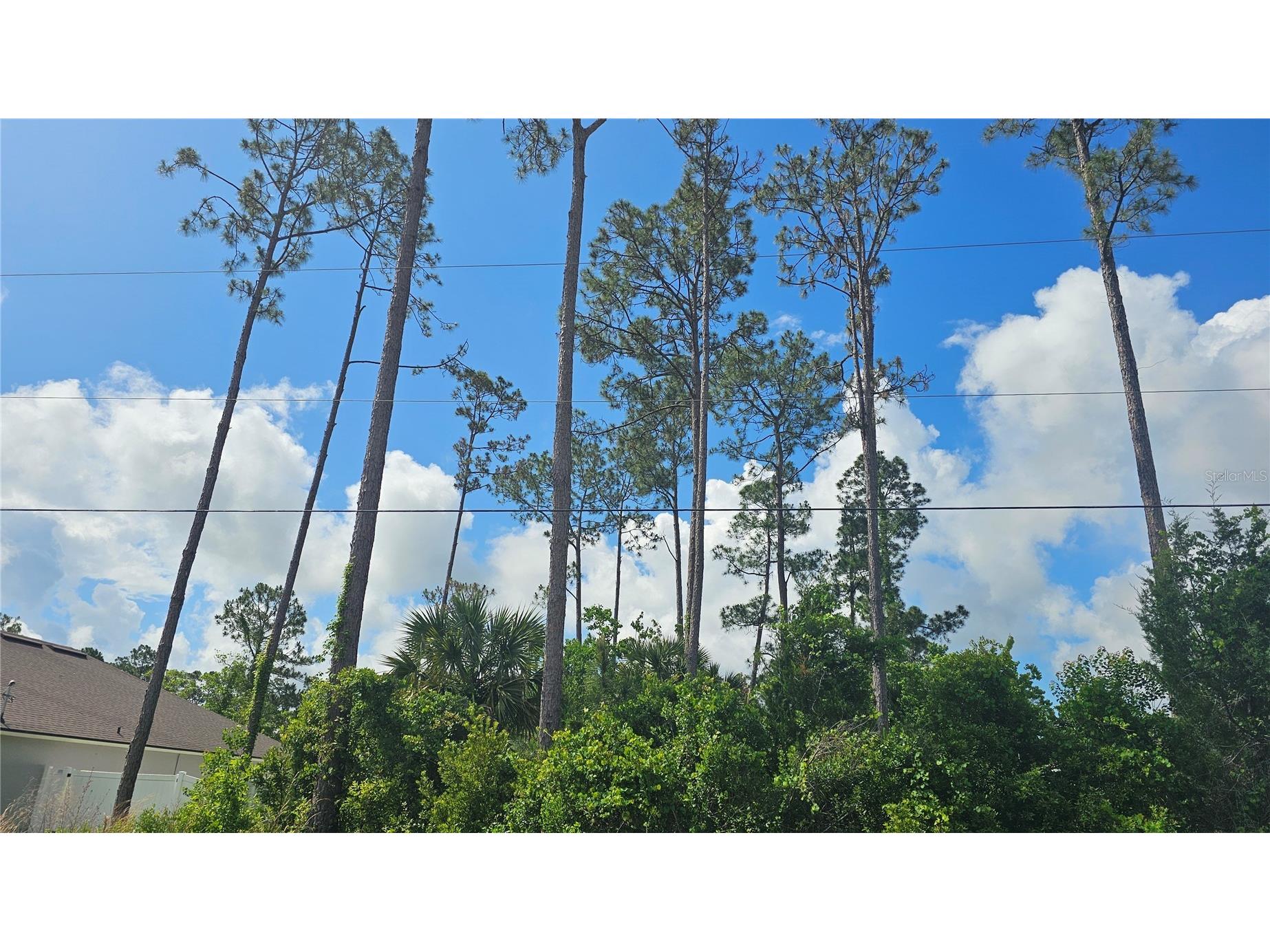 13 Robin Hood Lane Palm Coast FL 32164 FC318389 image3