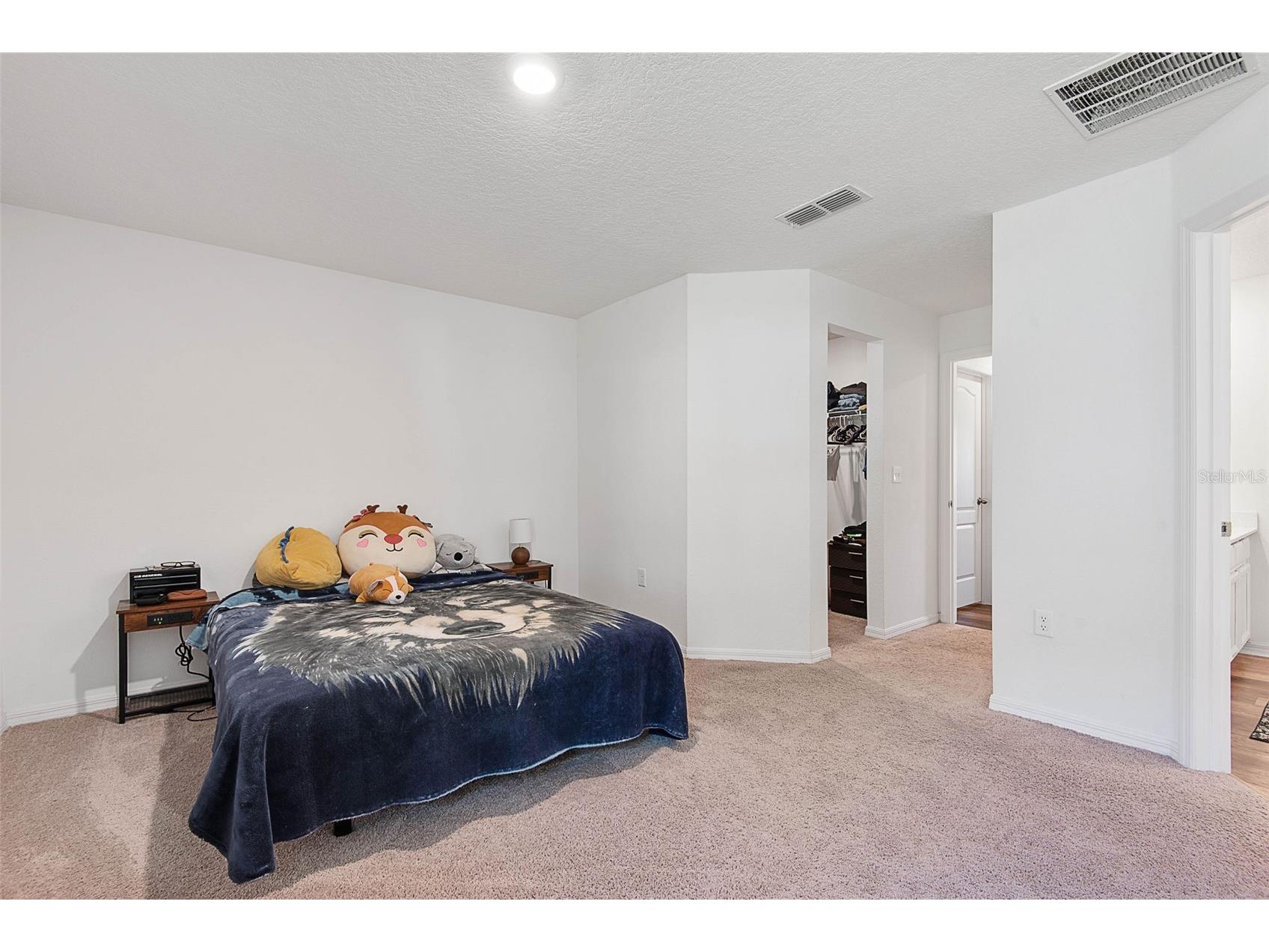 13 Ryken Lane Palm Coast FL 32164 FC315641 image23