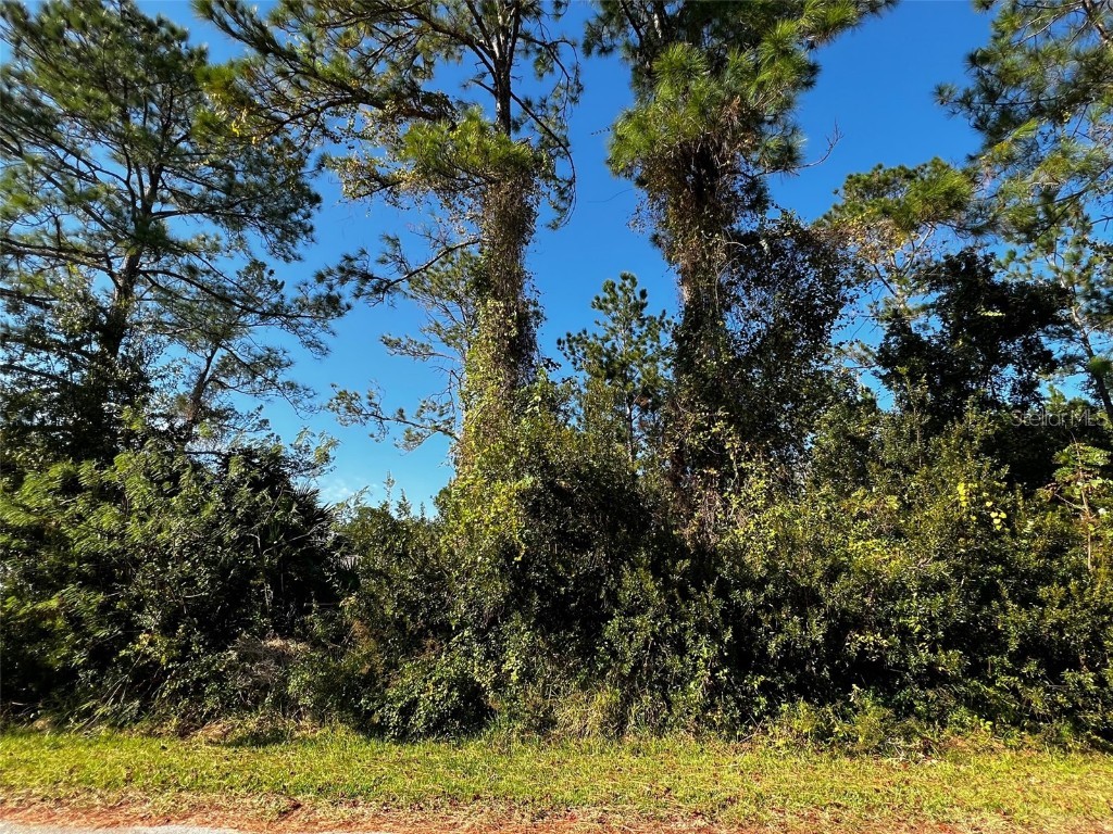 13 Sea Spiral Path Palm Coast FL 32164 FC296029 image1