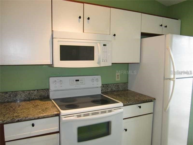 13 Silver Park Circle Kissimmee FL 34743 O6416390 image7