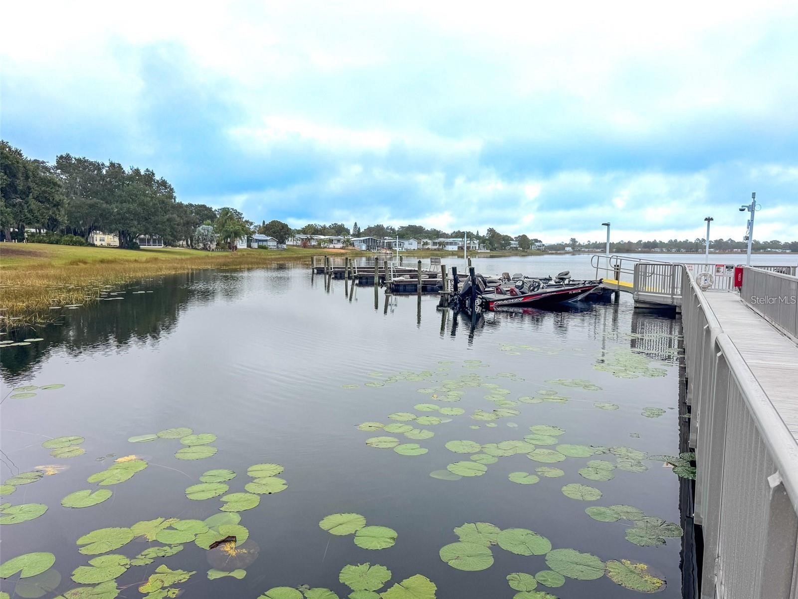 13 Silversides Street Lake Wales FL 33898 - SADDLEBAG LAKE L4959159 image36