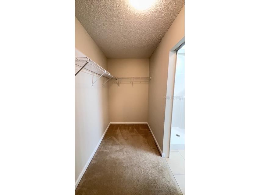 13 Sleepy Hollow Trail Palm Coast FL 32164 FC313736 image15