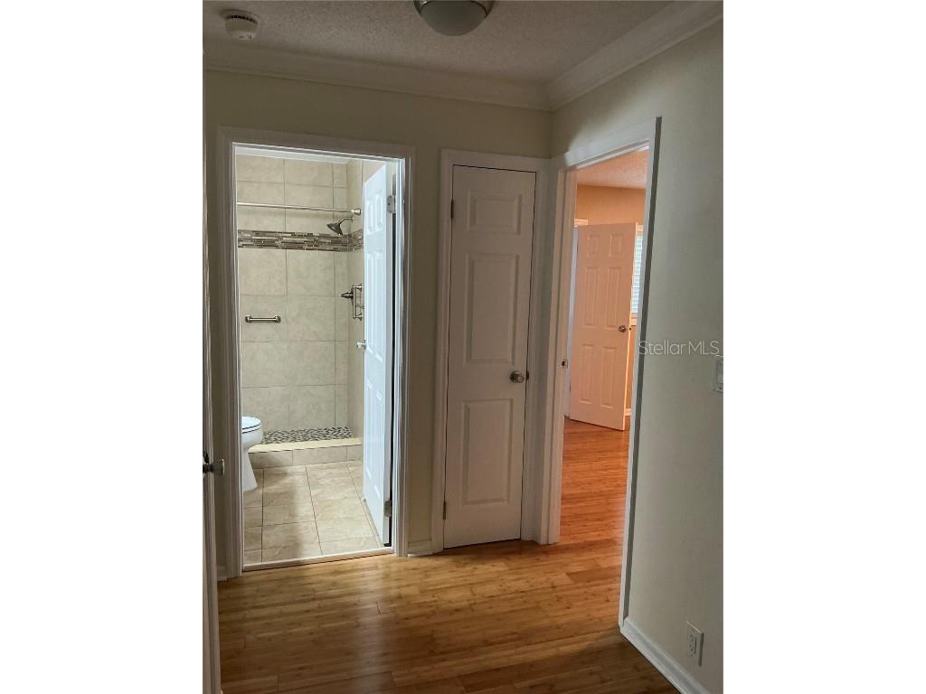 13 Trap Circle New Smyrna Beach FL 32168 NS1084686 image8