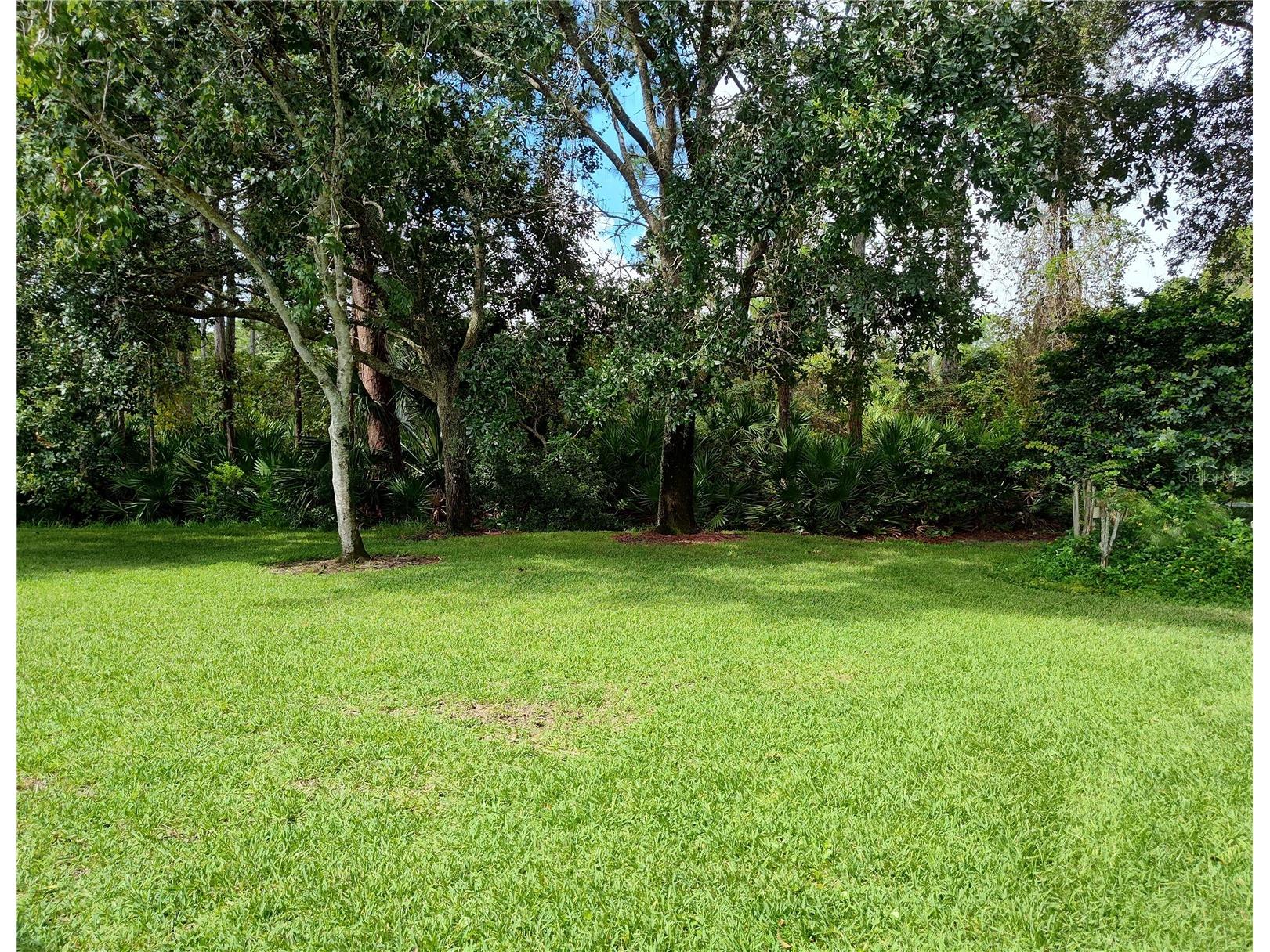 13 Village View Drive Palm Coast FL 32137 FC316273 image41
