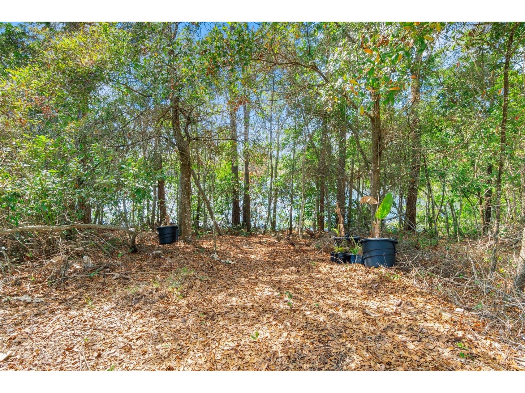 13 Willow Street Palm Coast FL 32164 FC317061 image42