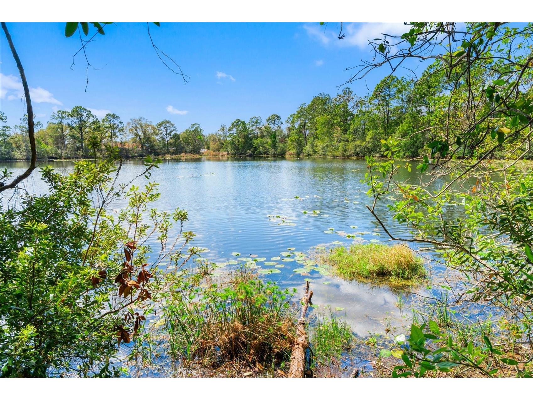 13 Willow Street Palm Coast FL 32164 FC317061 image43