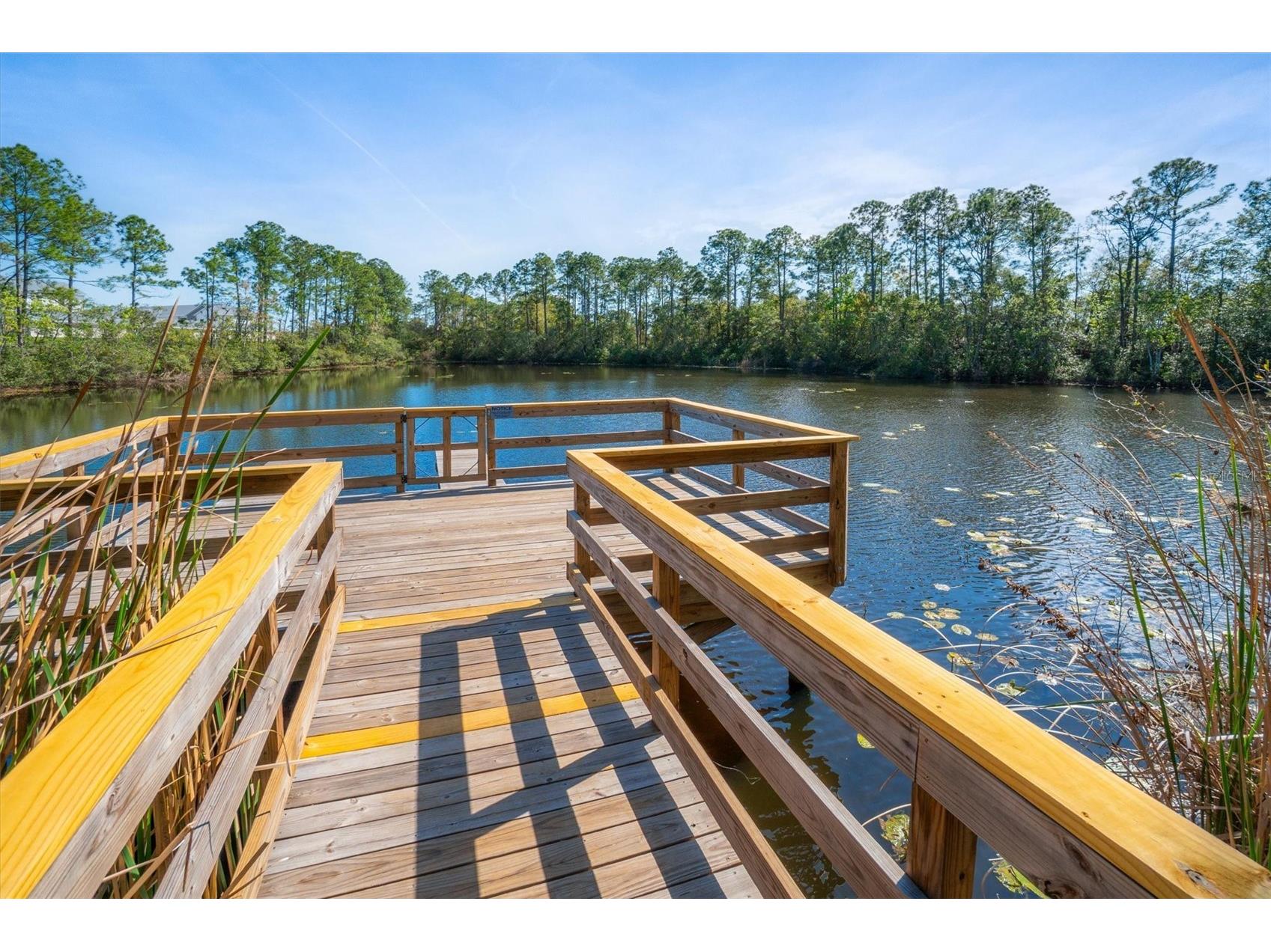 13 Willow Street Palm Coast FL 32164 FC317061 image63