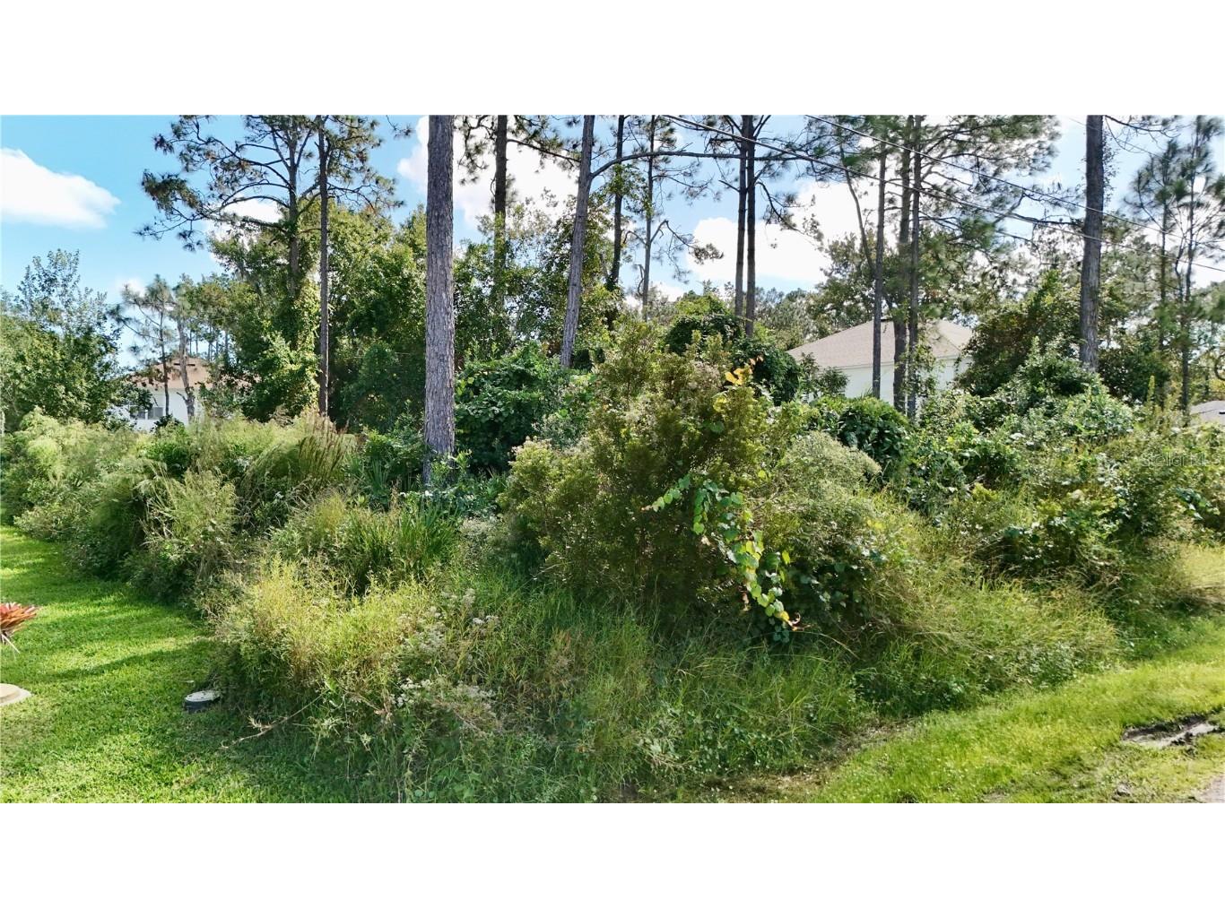 13 Zinc Place Palm Coast FL 32164 FC313483 image3