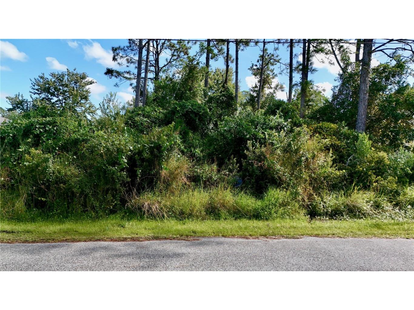 13 Zinc Place Palm Coast FL 32164 FC313483 image4